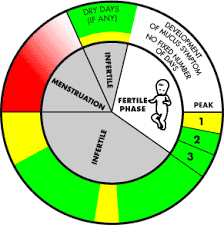 Billings Chart